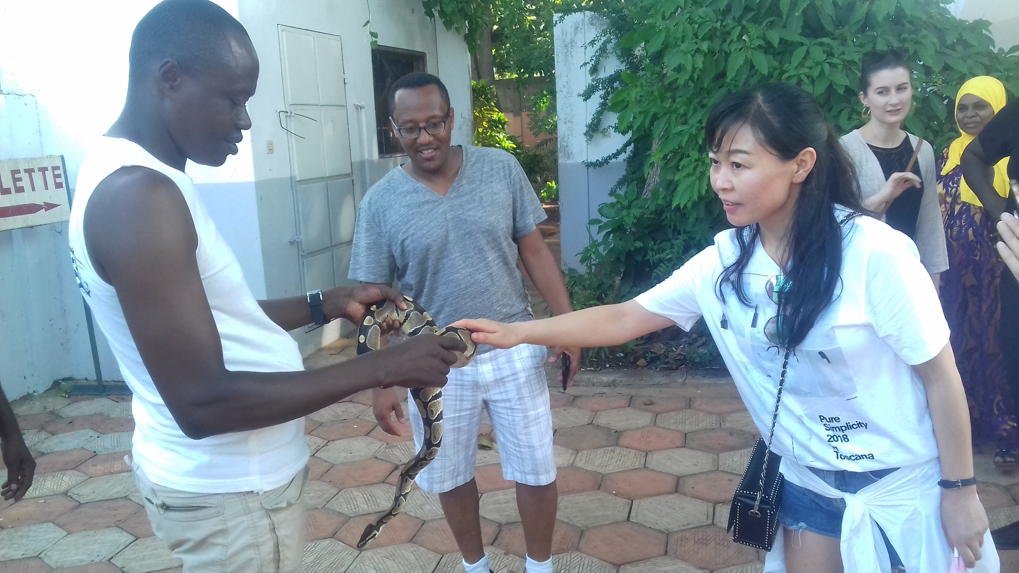 The Python Temple in Ouidah Photo 2